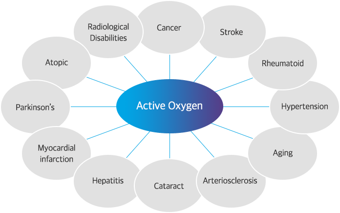 oxidative stress and active oxygen impact on health explained with hydrogen water antioxidant support